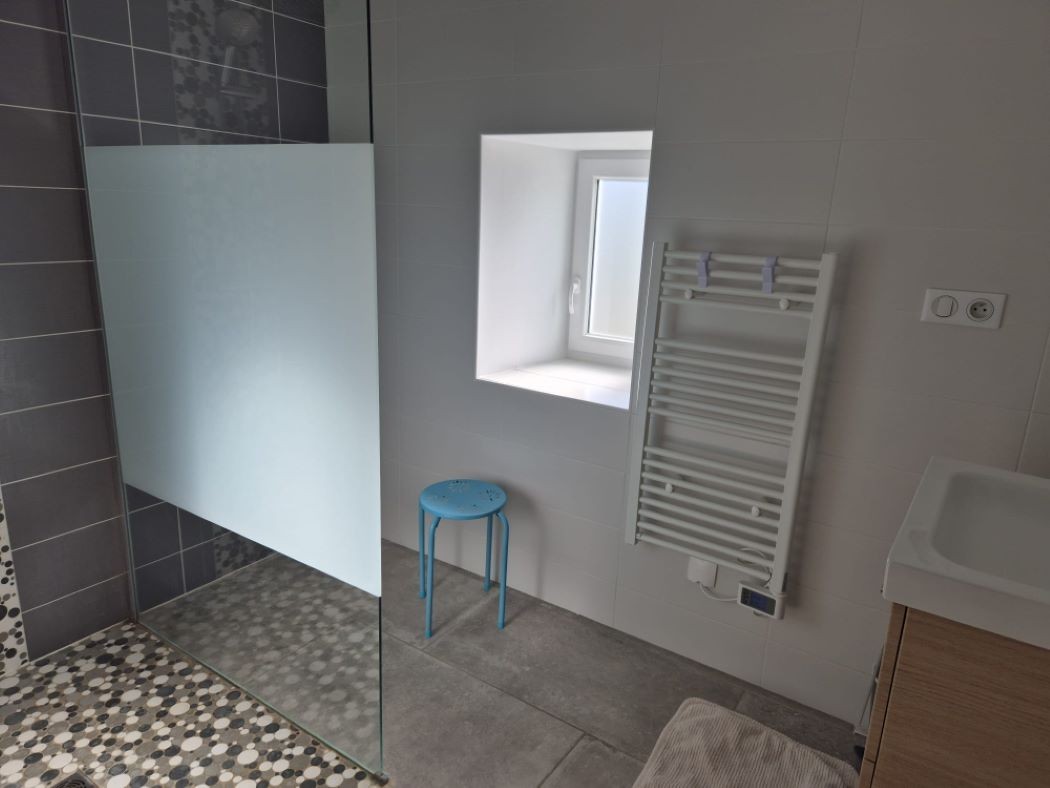 Salle d'eau rdc