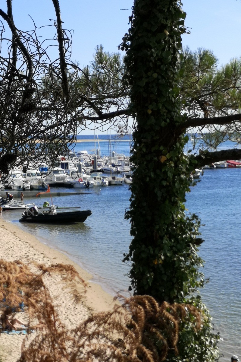 Photo n° 18 de la location