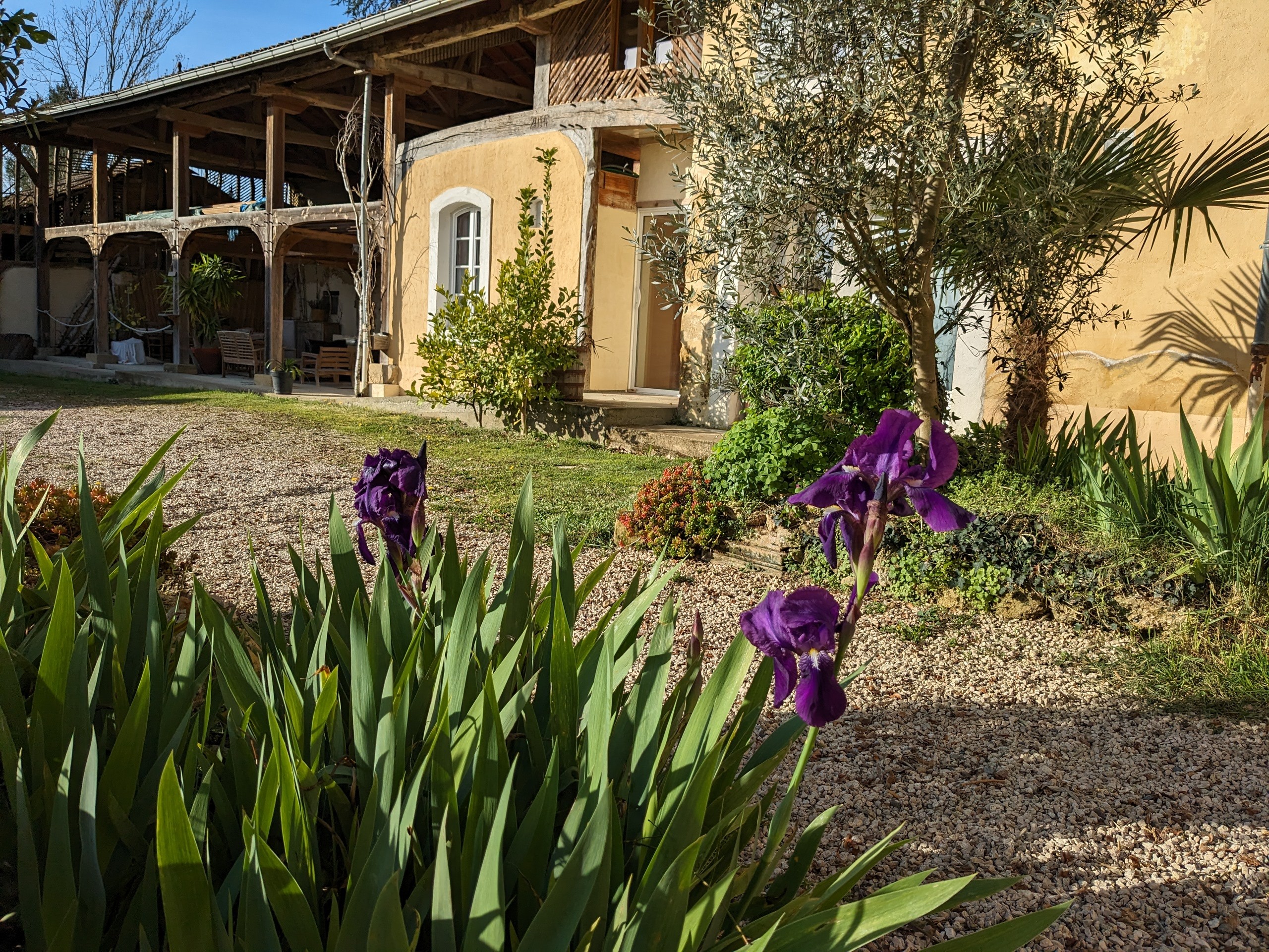 Pergola Arche de l'olivier