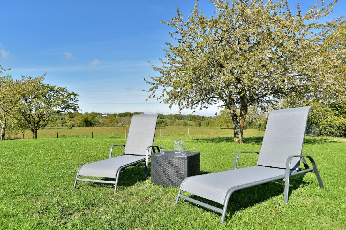 Grand jardin à votre disposition, paysagé et arboré.  Cerises à cueillir en saison pour votre plus grand plaisir !