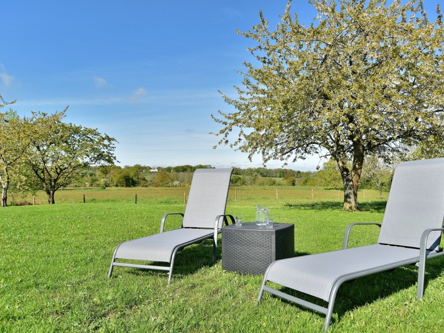 Grand jardin à votre disposition, paysagé et arboré. Cerises à cueillir en saison pour votre plus grand plaisir !