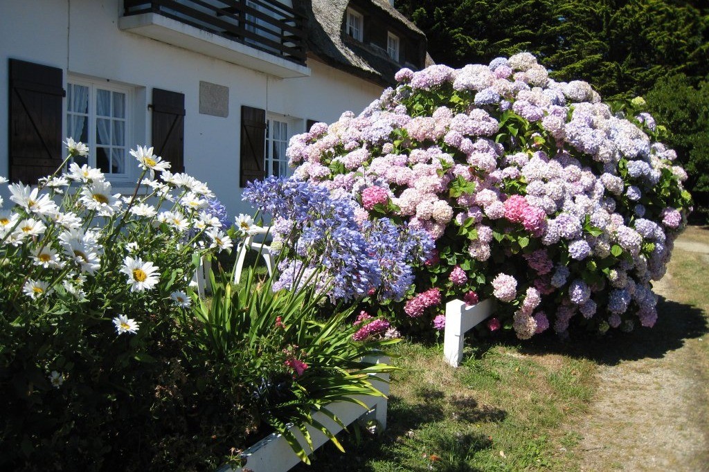 Photo n° 13 of the location