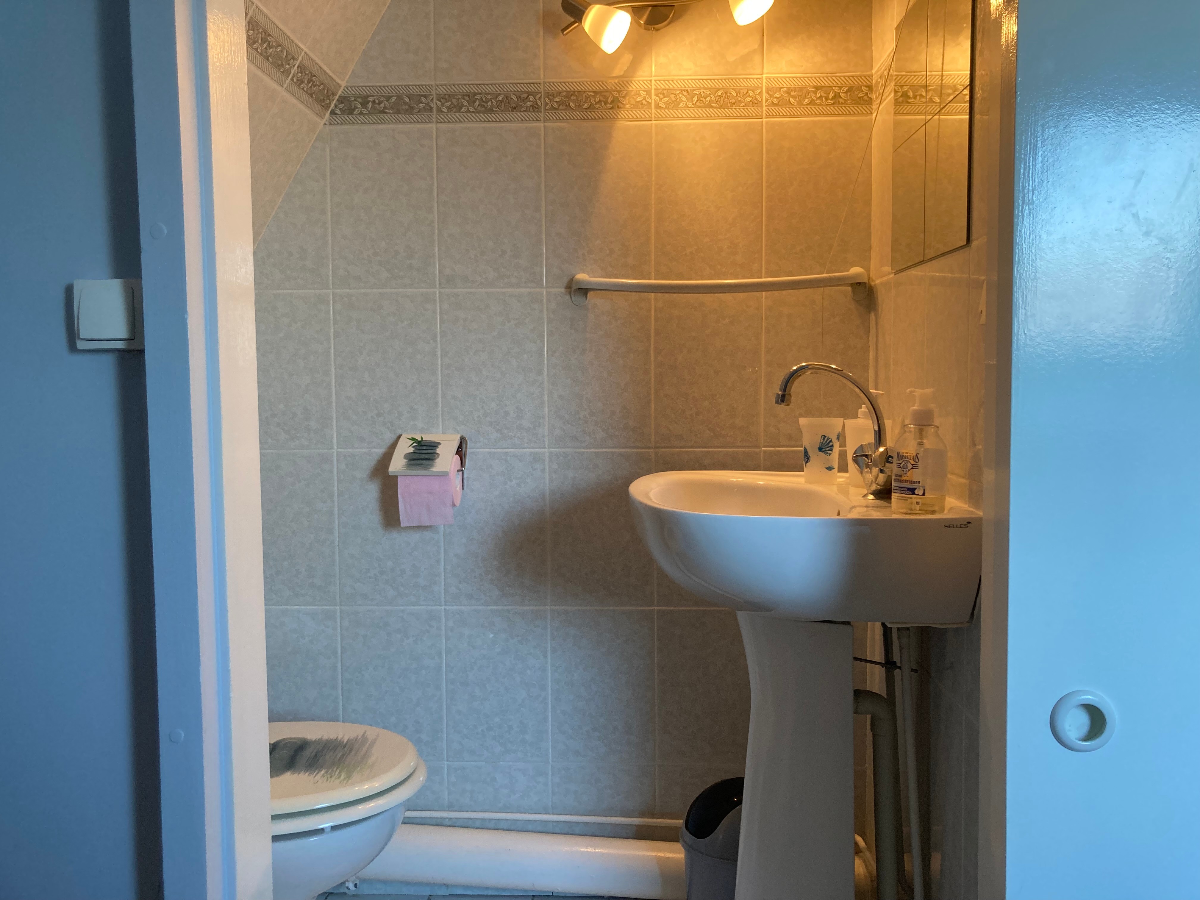 L'intérieur du cabinet de toilette (WC + Lavabo fermé) de la chambre 3