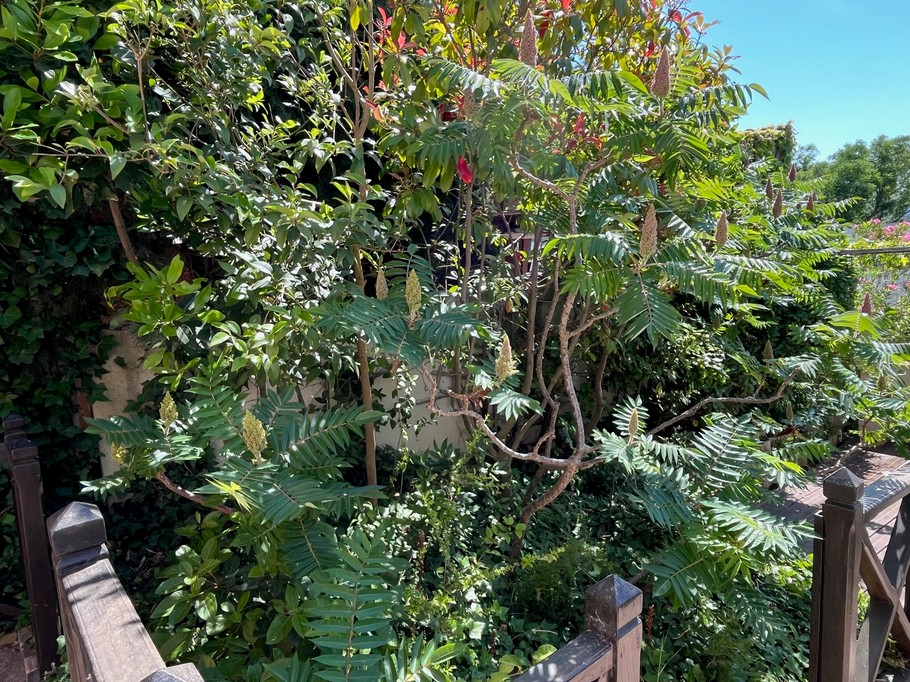 Extérieur de la Propriété et environnement de l'appartement Coté SUD