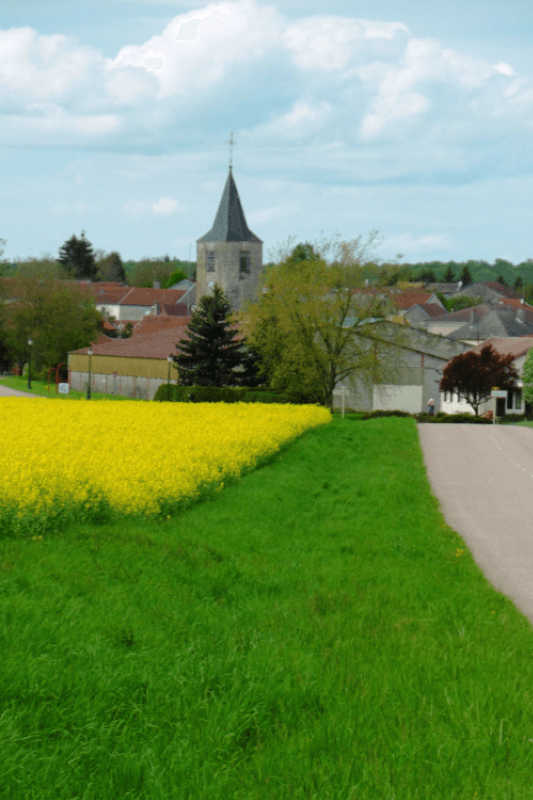 Grand, village gallo-romain
