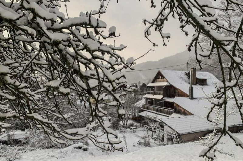 Photo n° 6 of the location