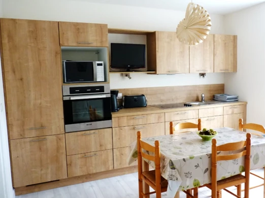 Pièce de vie avec coin cuisine aménagée et bien équipée et coin salon avec TV.