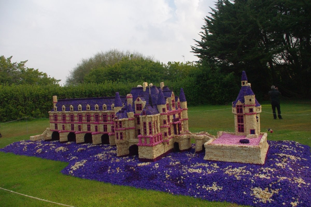 chateau de jacinthe à la torche