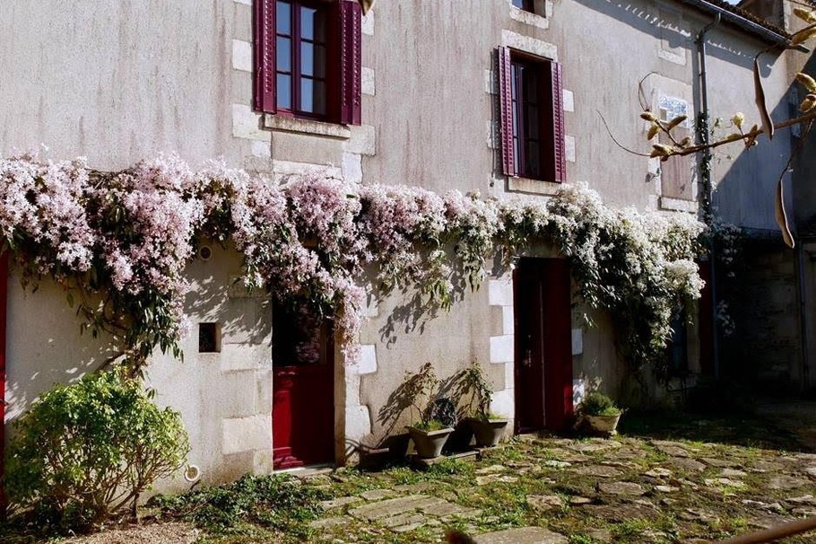 façade cour au printemps