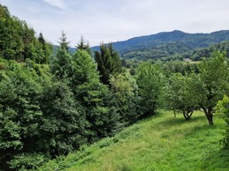 Vue depuis la terrasse - Gîte de la Haute Hardoye (14 pers) dans les Vosges