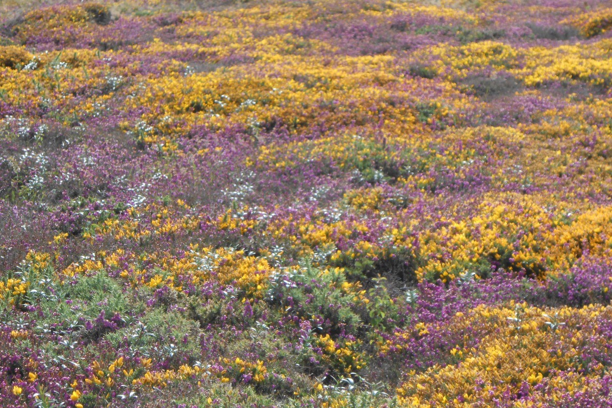 Photo n° 18 of the location