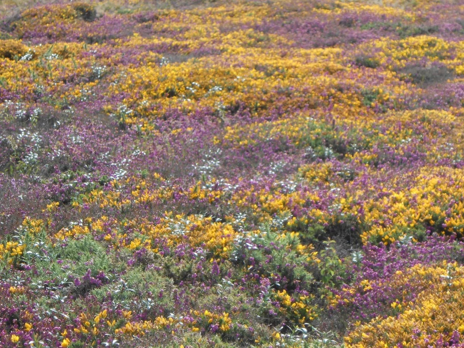 Photo n° 18 of the location