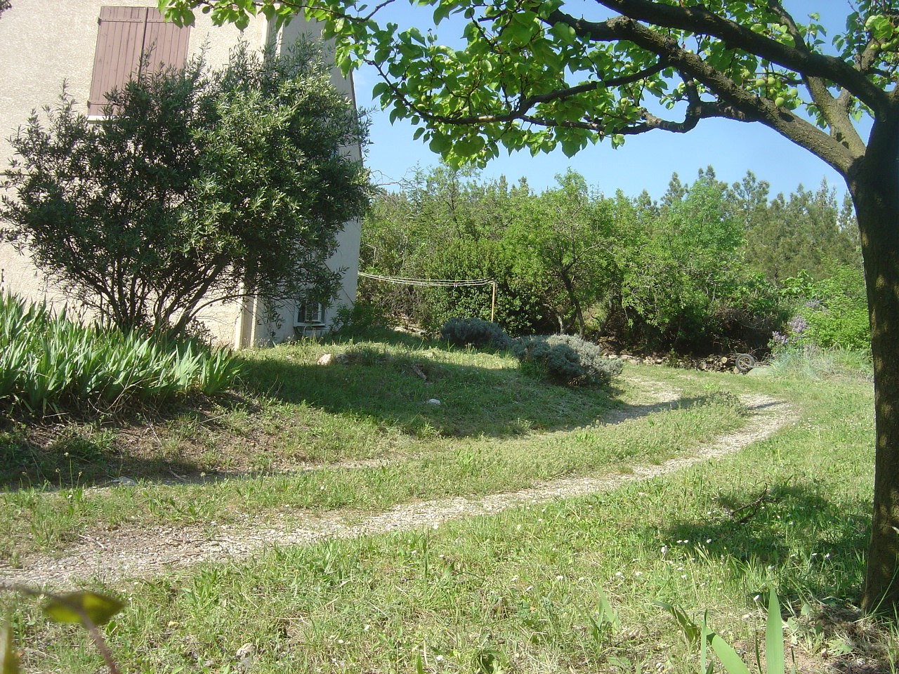 Jardin côté