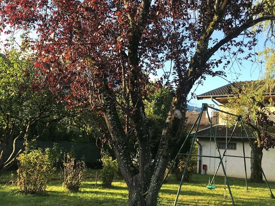 Gite le ganoutier 4 personnes saint jorioz