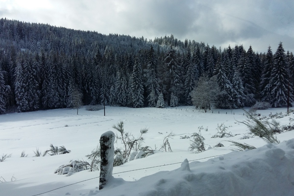 La neige est toute fraîche,