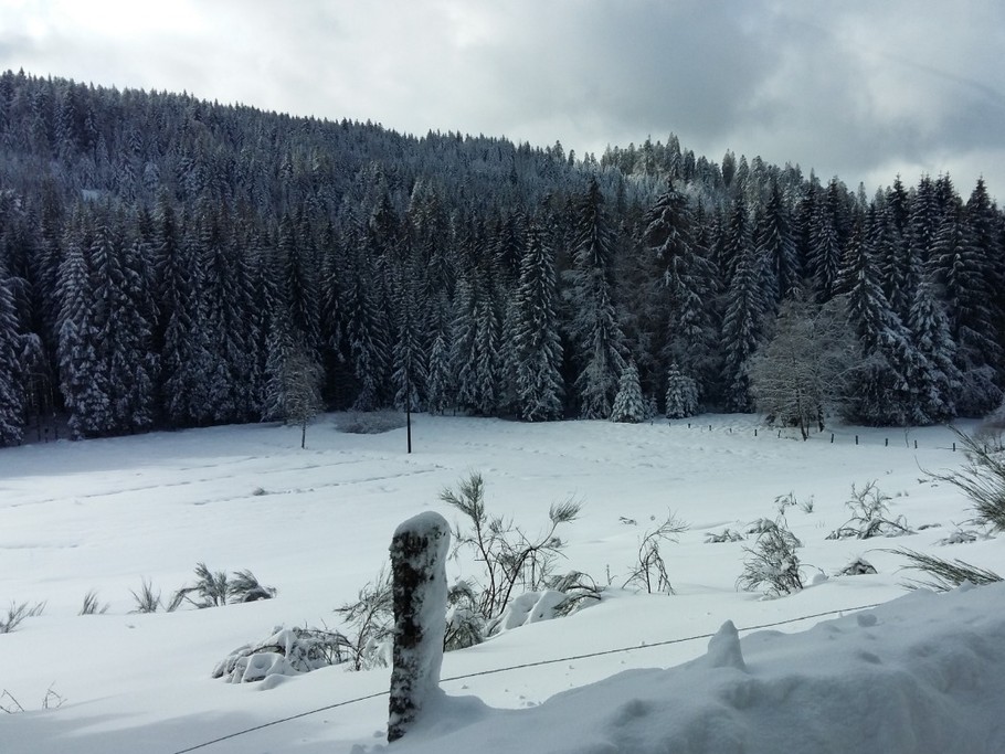 La neige est toute fraîche,