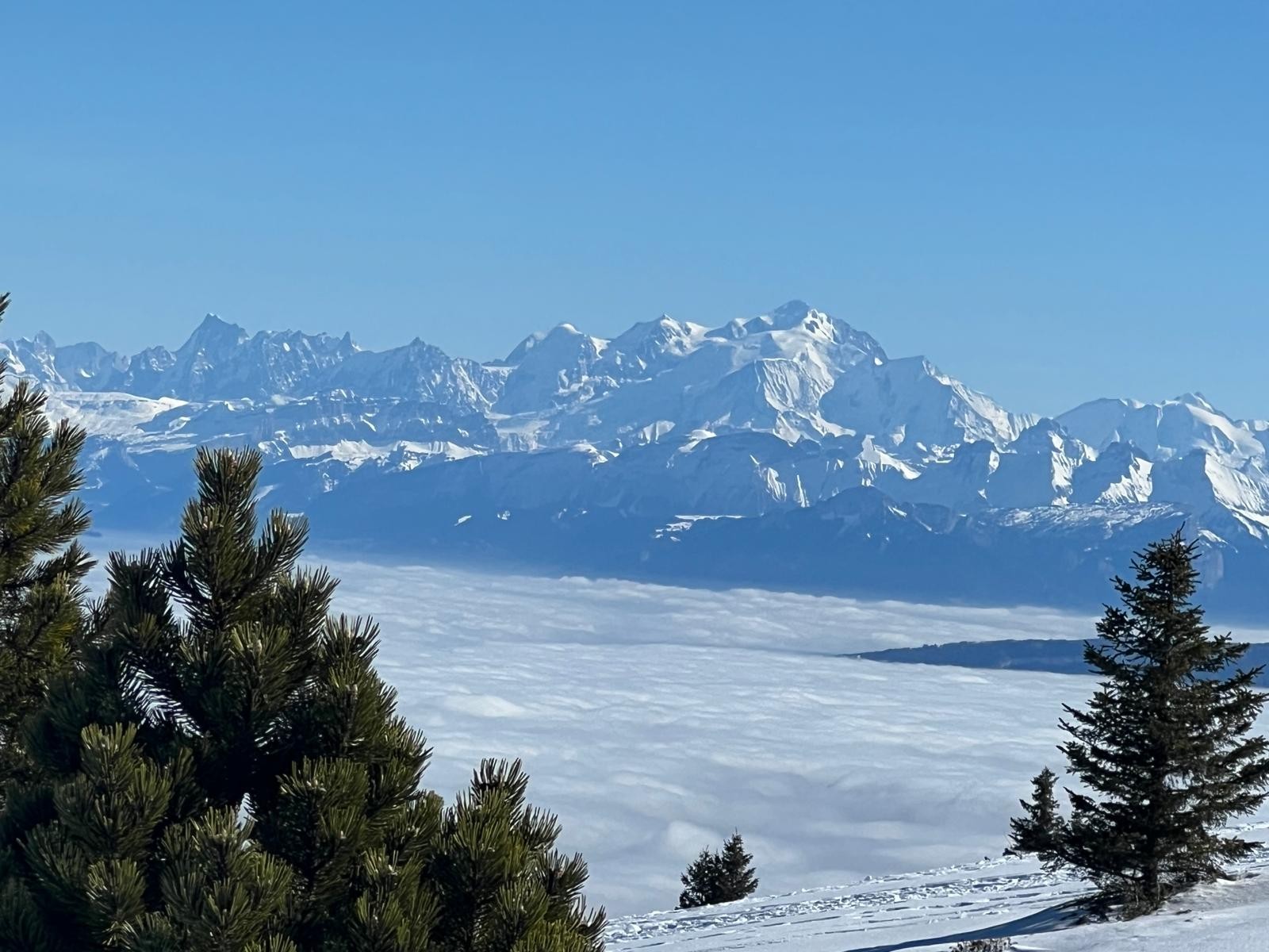 Montagnes enneigées à proximité