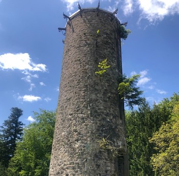 L'Hôtel Enfoncée Chambres et Table d'hôtes Le Val d'Ajol