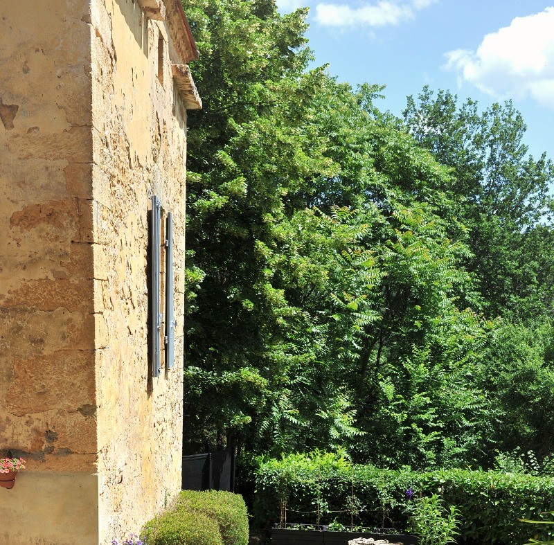 Photo n° 4 de la location