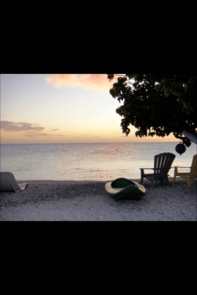 Photo n° 10 de la location