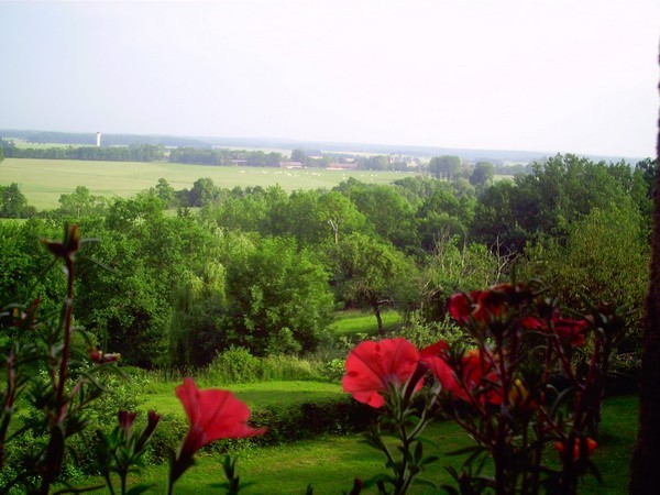Photo n° 10 of the location