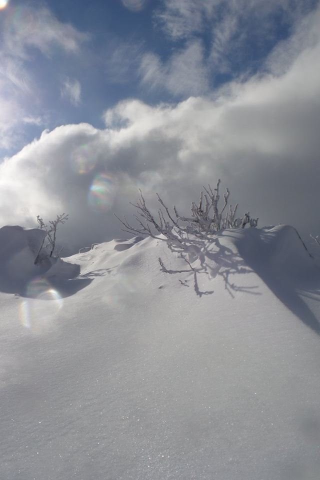 1ère neige de l'année !