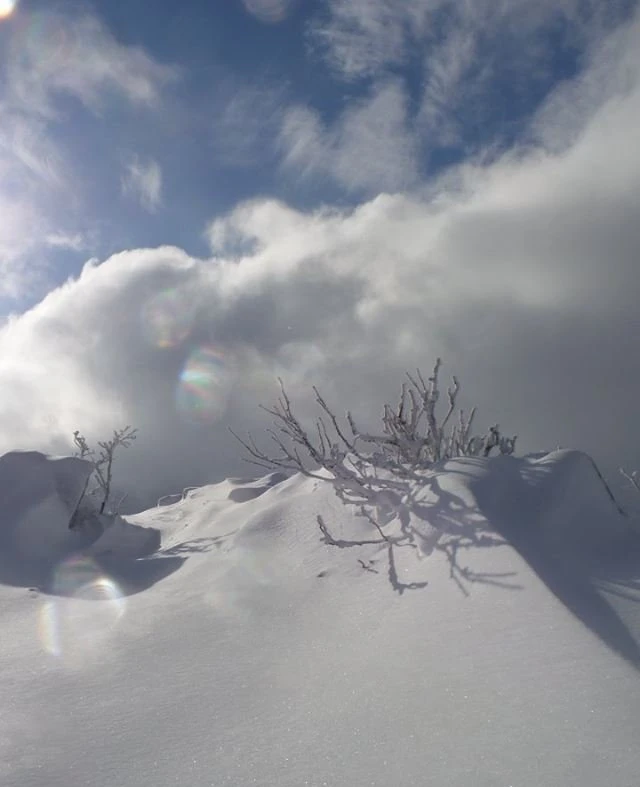 1ère neige de l'année !