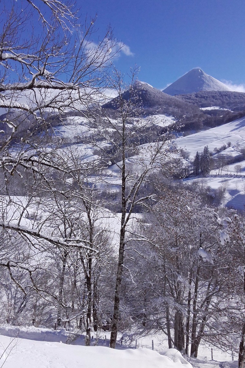 Photo n° 14 de la location