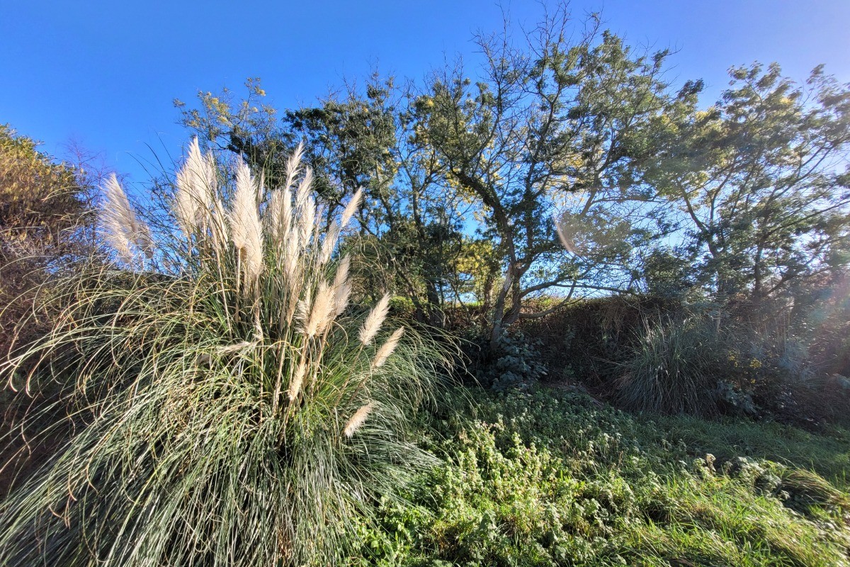 Photo n° 16 de la location