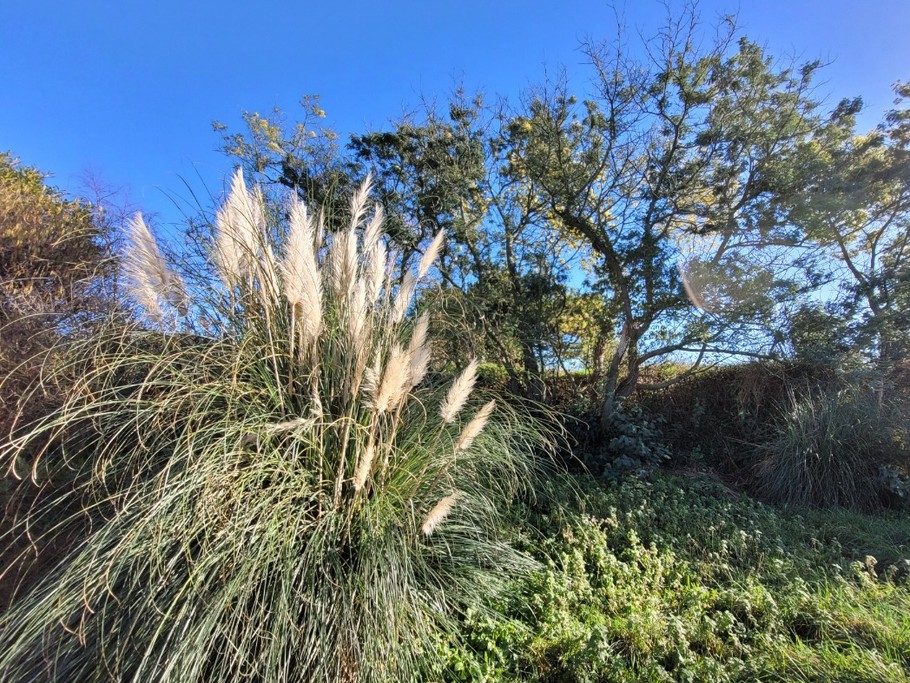 Photo n° 16 de la location