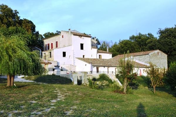 Les Ânes de Forcalquier : bâtisse et terrain