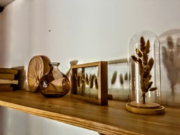 Image n° 2 de la location