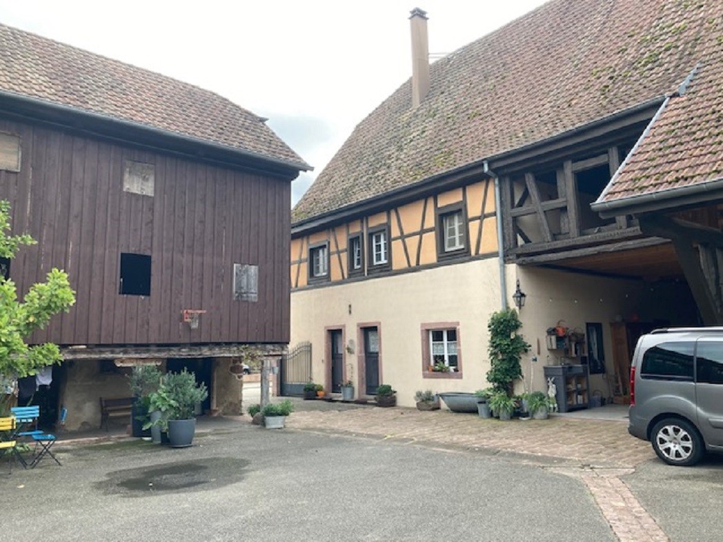 Vue d'ensemble de la cour