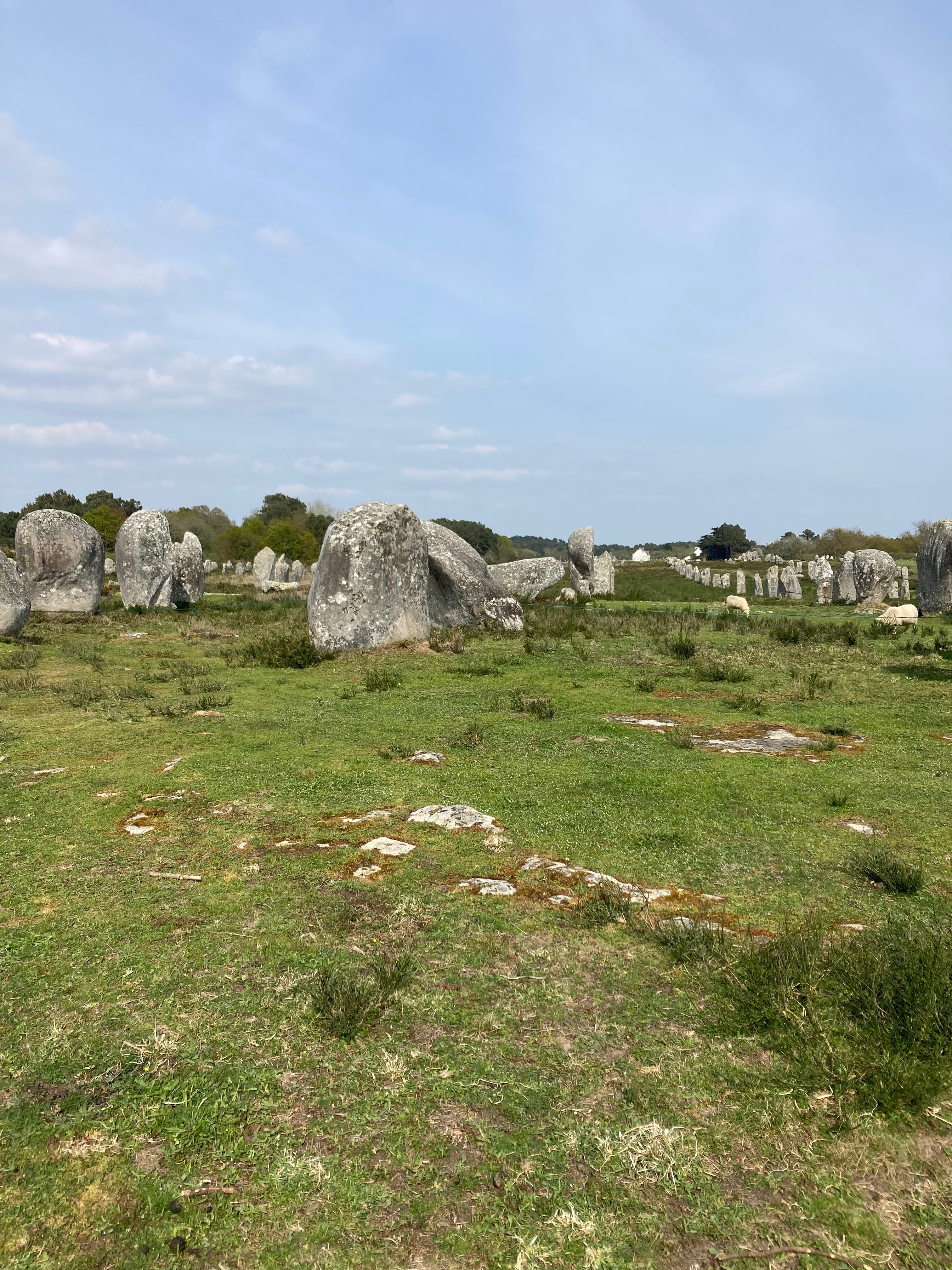 les alignements de Carnac