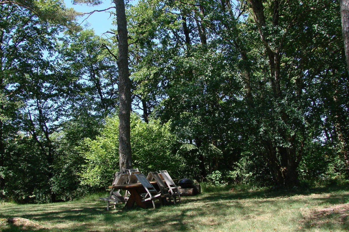 Pause déjeuner à l'ombre dans le parc