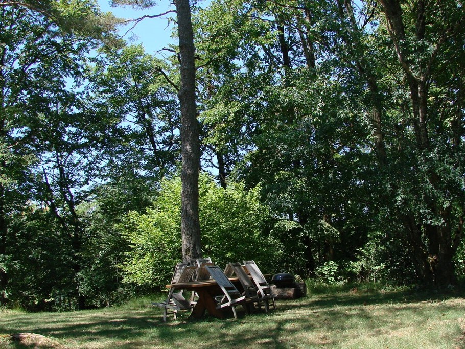 Pause déjeuner à l'ombre dans le parc