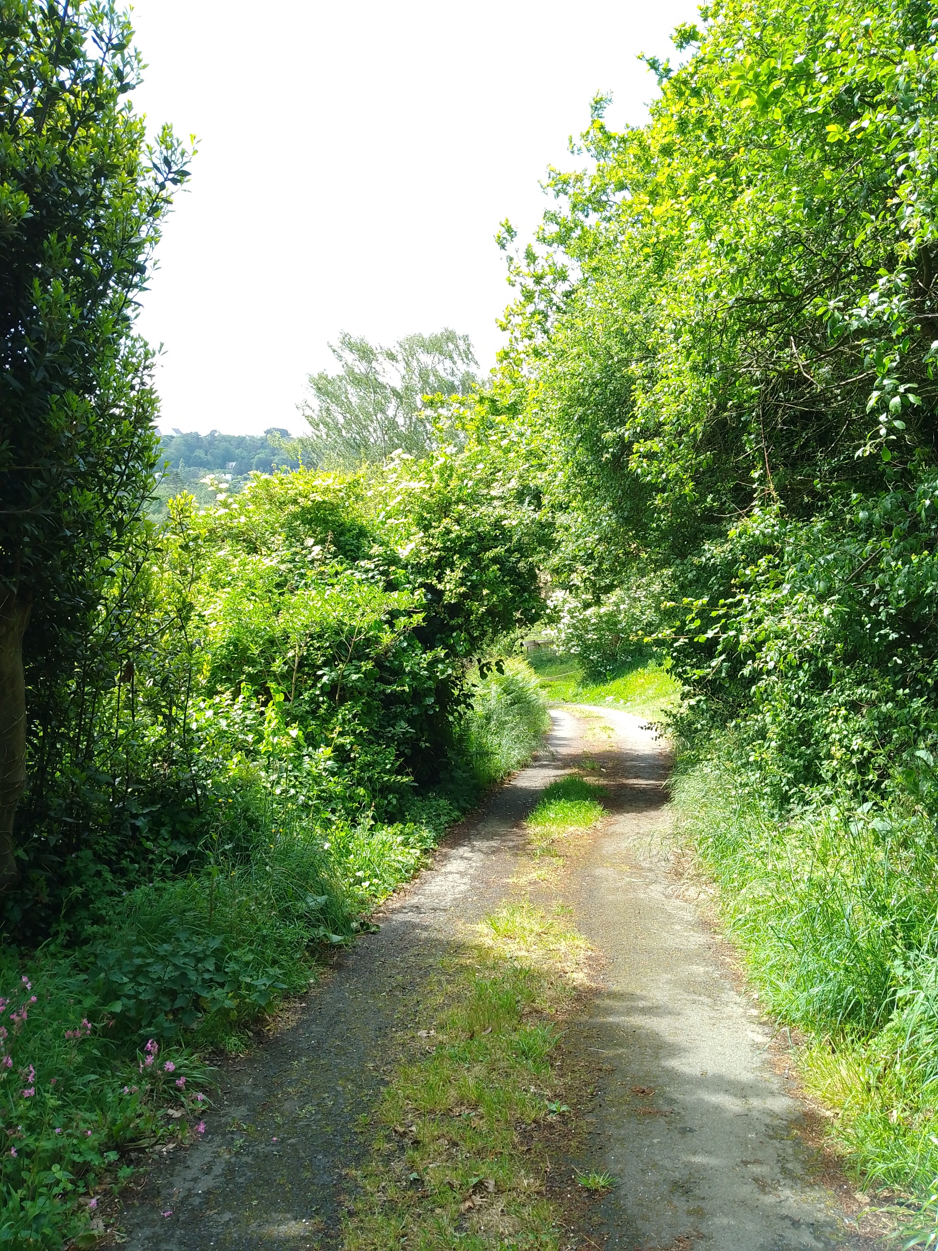 Le sentier vers la plage