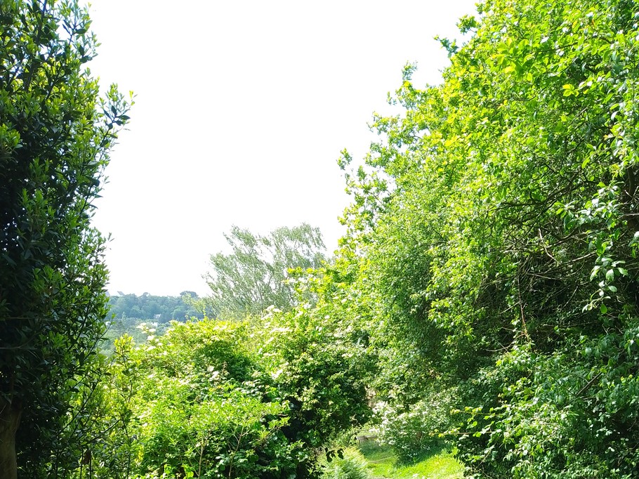 Le sentier vers la plage