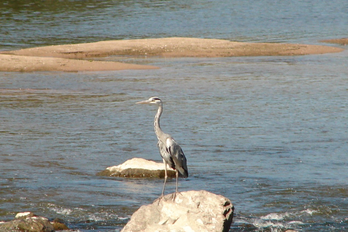 La Loire