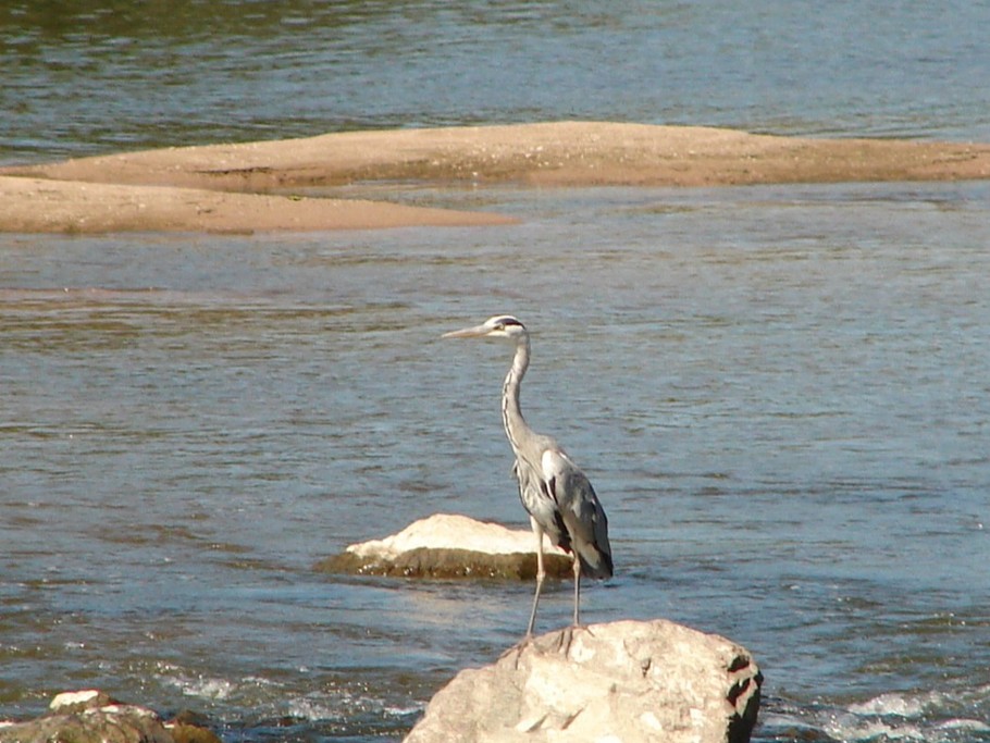 La Loire