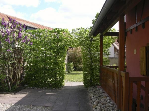 Passage sous les charmes entre cour et jardin