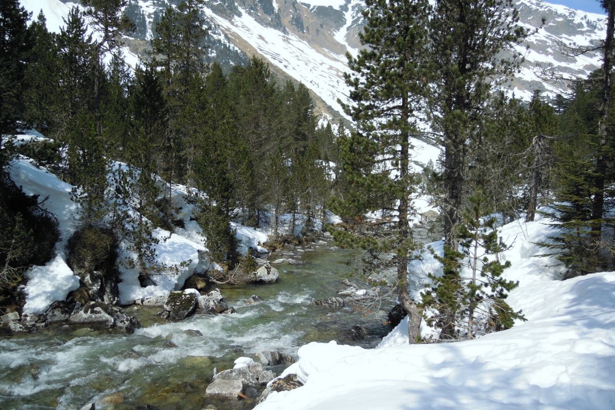 Pont d'Espagne -Cauterets