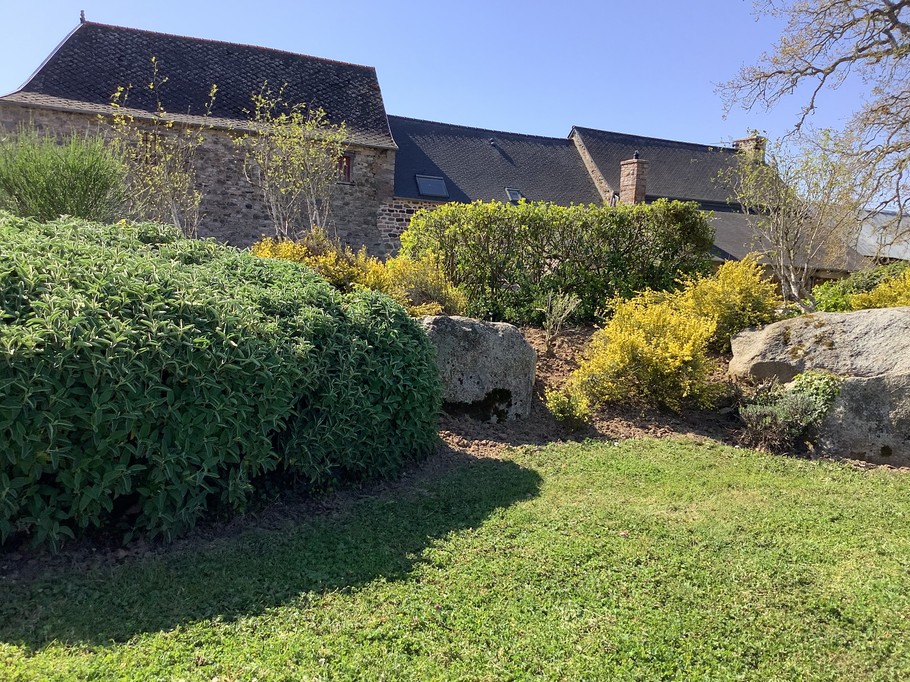 Photo n° 8 de la location