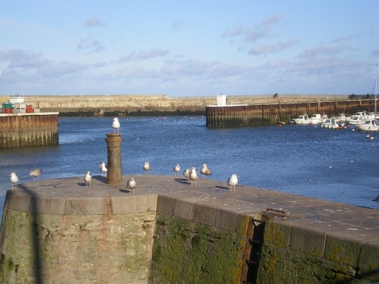 Digues de Port en Bessin