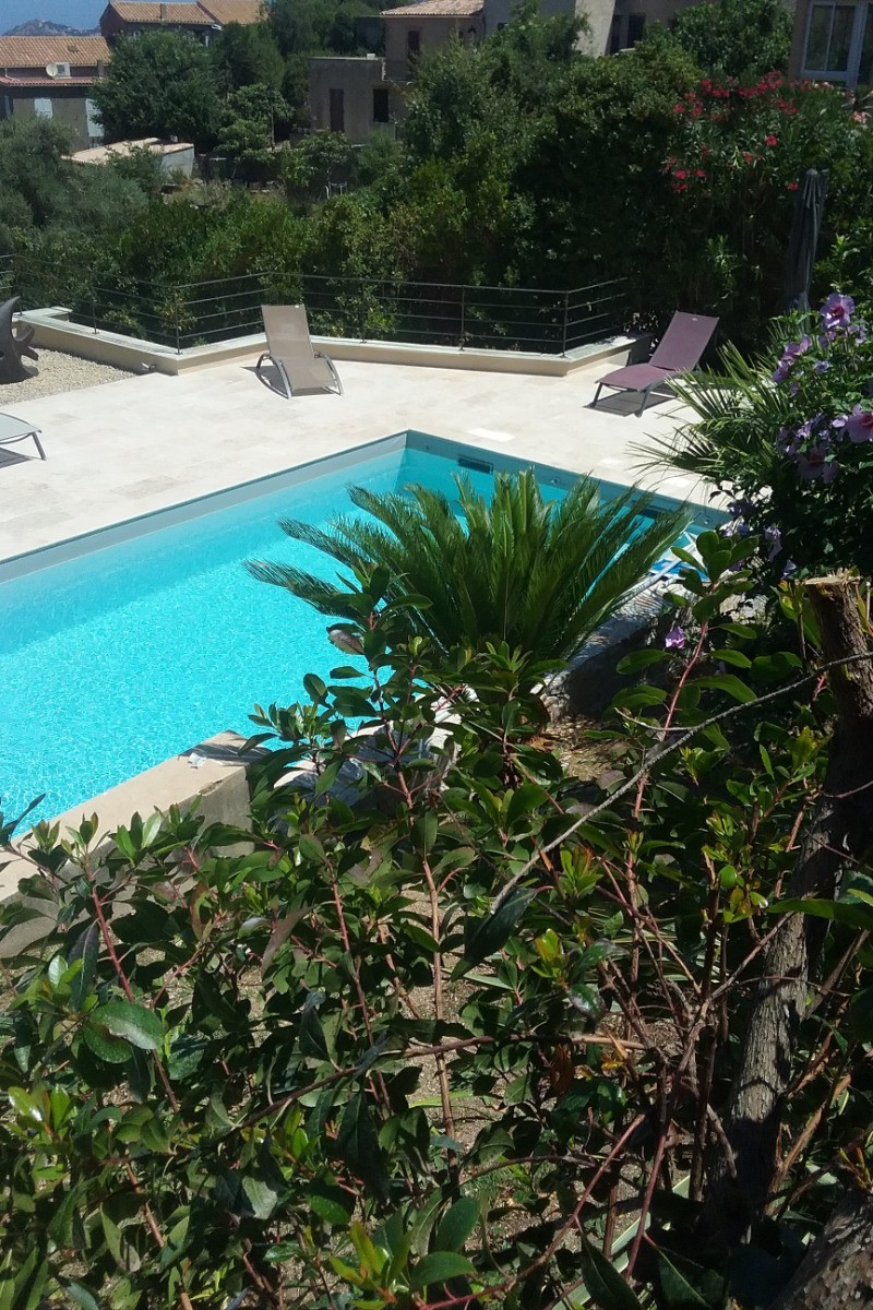 entre fleurs et verdure