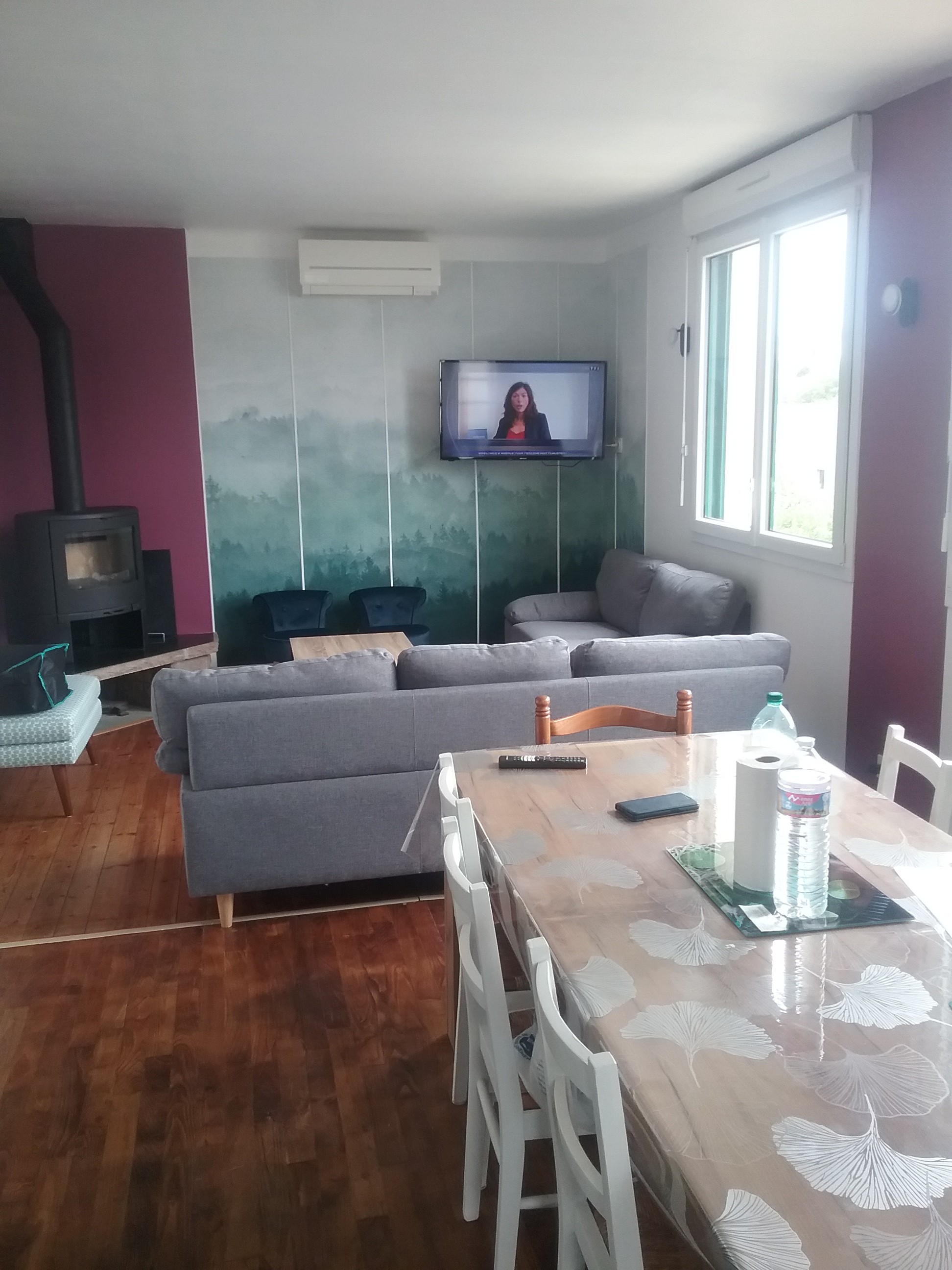 Living space (hall and lounge)