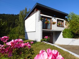 The house in summer.