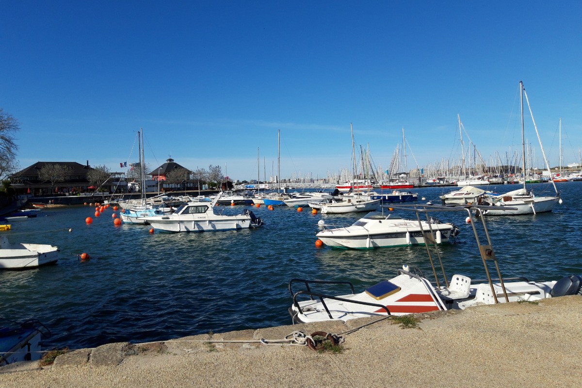 Photo n° 8 de la location