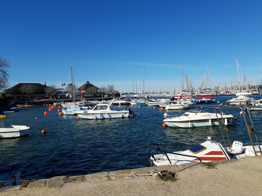 Photo n° 8 de la location