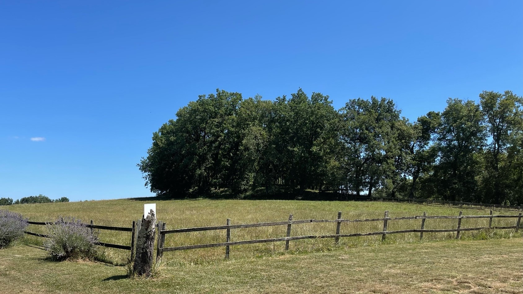 Photo n° 8 de la location